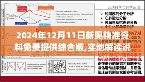 2024新奥正版资料最精准免费大全,仿真实现方案_kit76.894