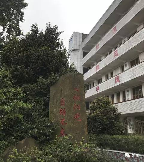 泸县校园事件最新进展概况